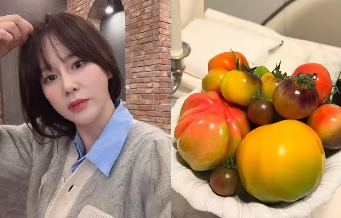 인사이트