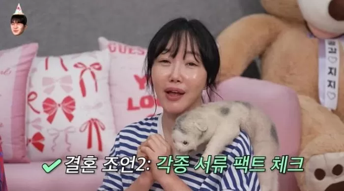 인사이트