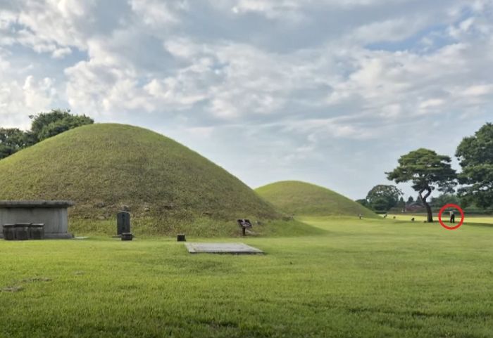 “이게 한국?”... 경주 왕릉서 골프치는 남성보고 기겁한 외국인 관광객
