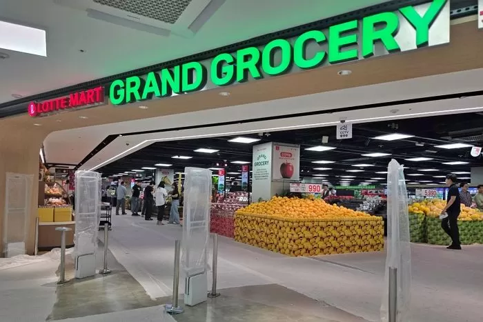 인사이트