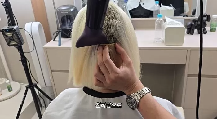 인사이트