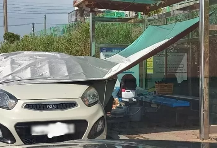 인사이트