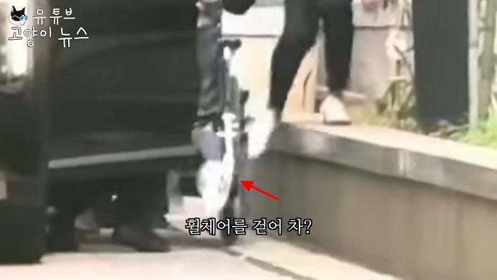 우울증 치료 후 ‘휠체어 퇴원’ 한 김건희... “차 탈 땐 걷어차”·“집에선 걸어다녀”