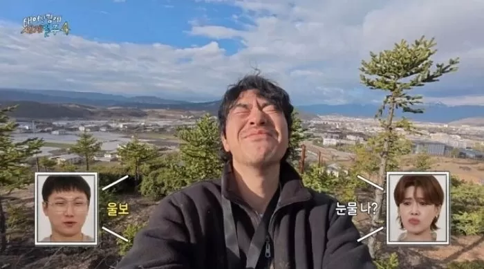 인사이트