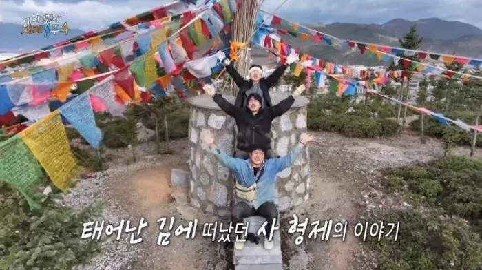 인사이트