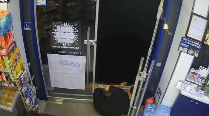 인사이트