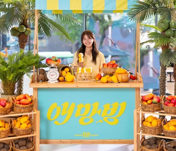 인사이트