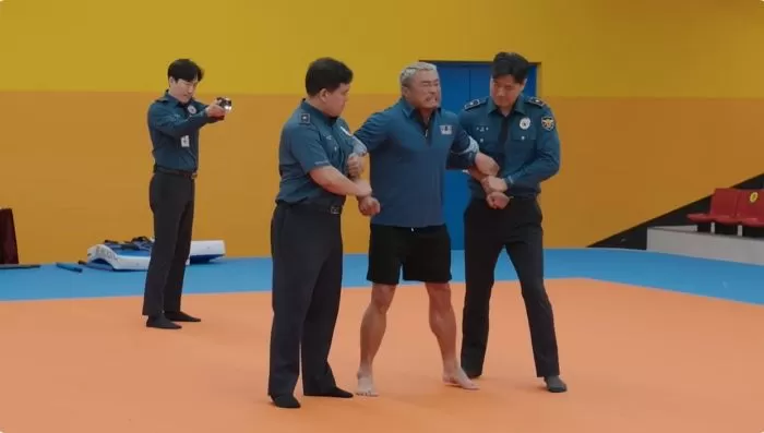 인사이트