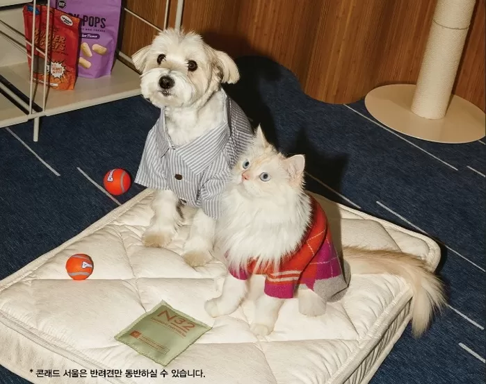 우리집 ‘쪼꼬미’ 위한 침대까지... 콘래드·시몬스 협업 ‘반려견 호캉스’ 패키지