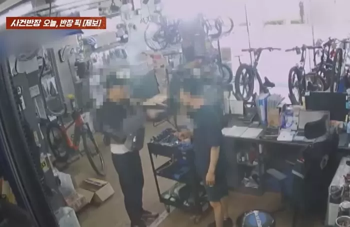 인사이트