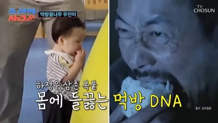 인사이트