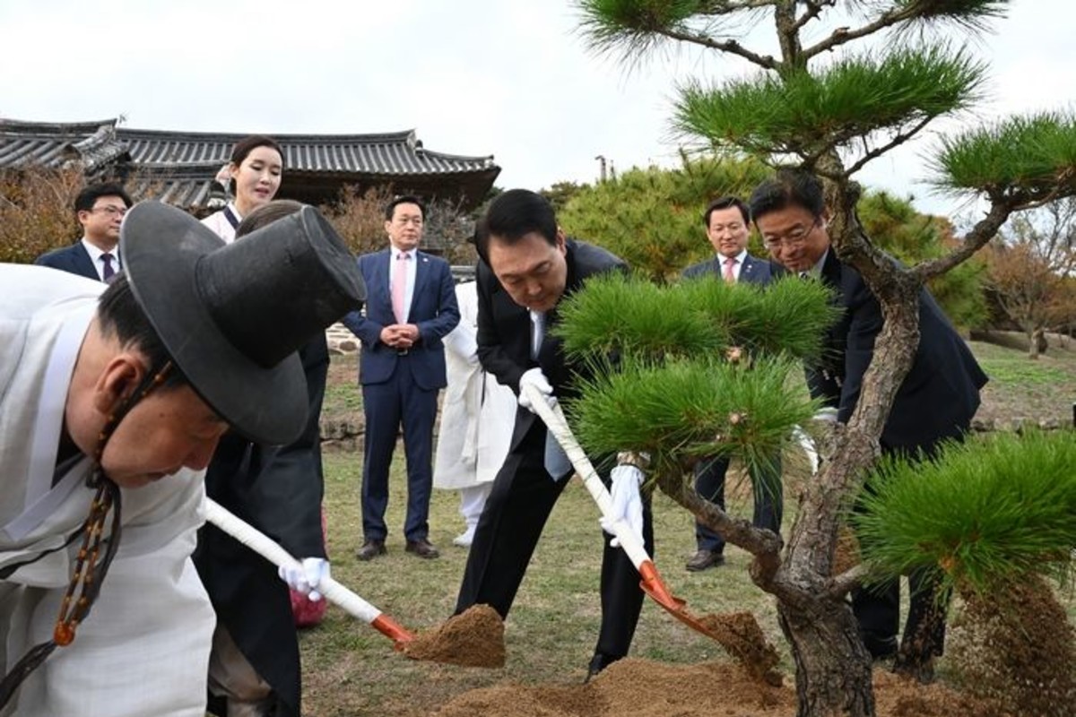 안동 병산서원에 설치됐던 '<b>윤석열</b> 전 대통령 <b>기념식수</b>비' 감쪽같이 사...