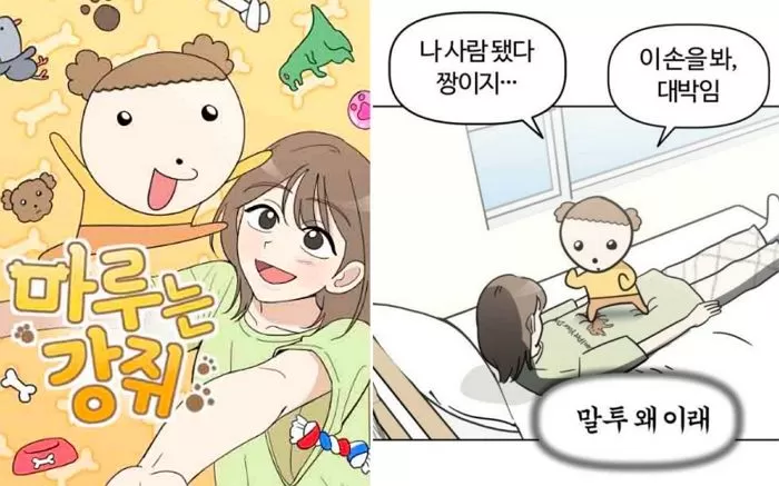 인사이트