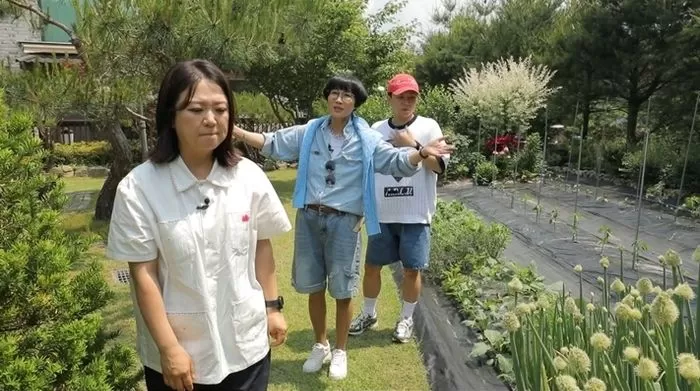 인사이트
