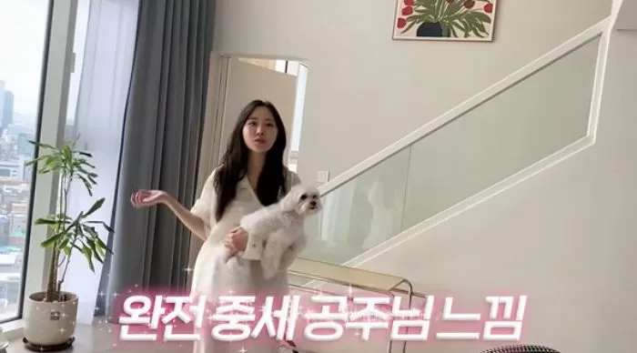 인사이트