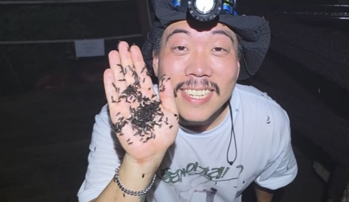 “쪄 먹고, 구워 먹고”... ‘구독자 156만’ 유튜버의 러브버그 ‘먹방’에 누리꾼들 갑론을박