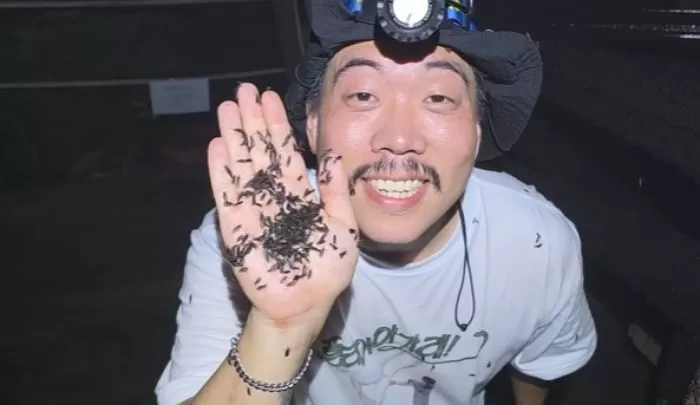 인사이트