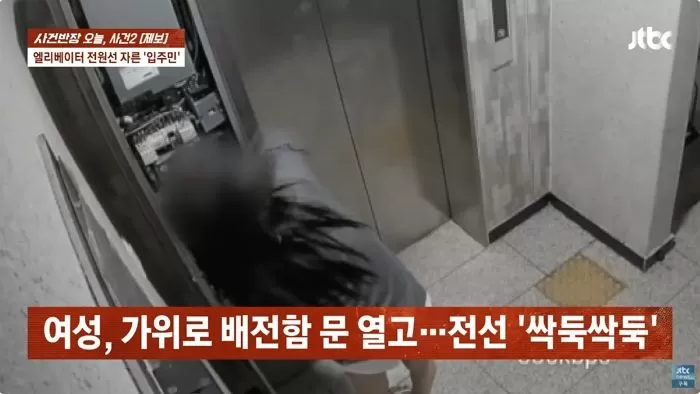 인사이트