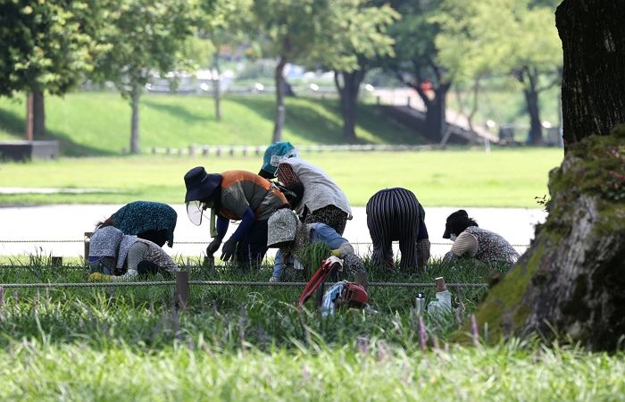 ‘살인 더위’ 진짜 위험 상태... 경기 이천서 산소 제초하던 80대 사망