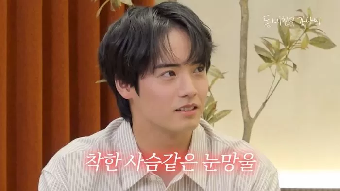 인사이트