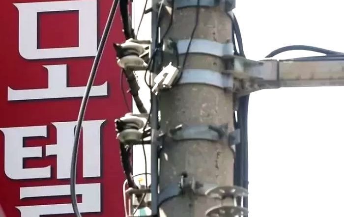 “오빠 보러와” 가출 청소년 꾀어내 숙박업소서 함께 투숙한 30대... 처벌 수준 봤더니