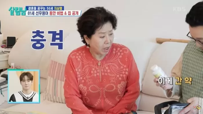 인사이트