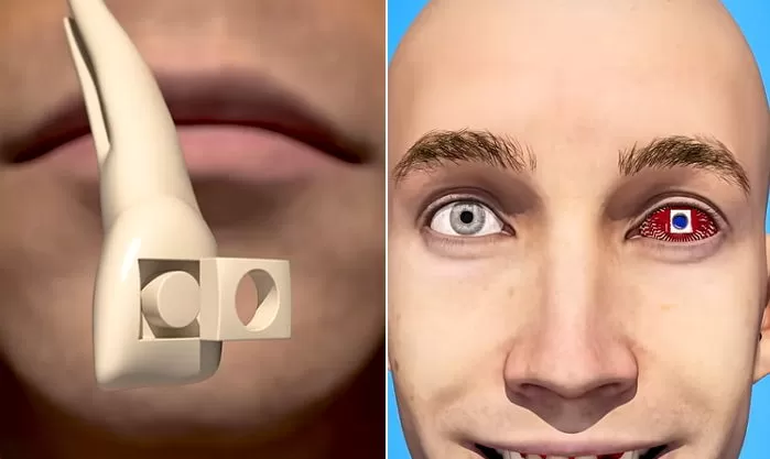 인사이트