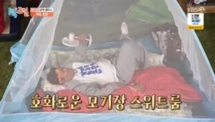 인사이트