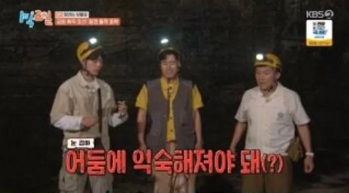인사이트