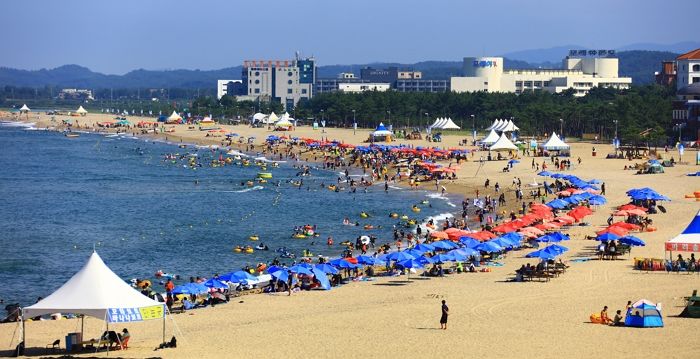 “파라솔 대량 주문할게요”... 양양서 발생한 사기, ‘이것’ 사칭했다