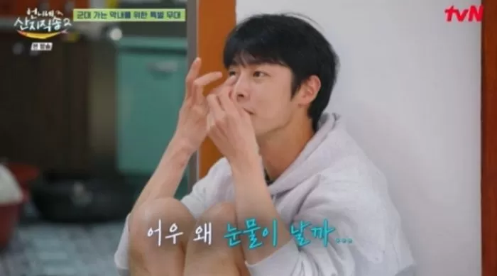 인사이트