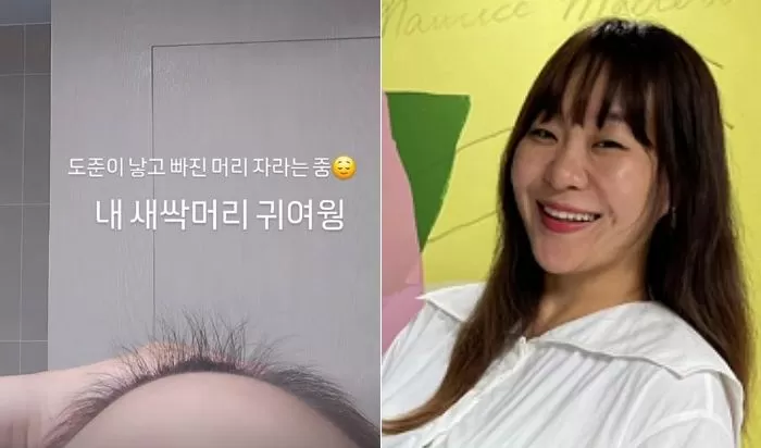 인사이트