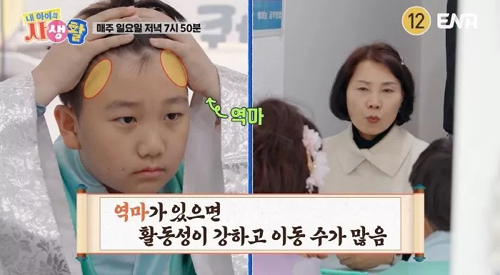 인사이트