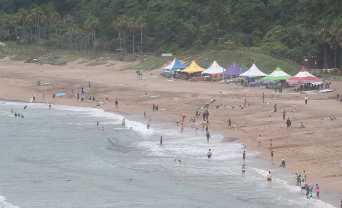 제주도 가는 사람들 주목... 해수욕장서 물놀이 할때 OOO 주의보