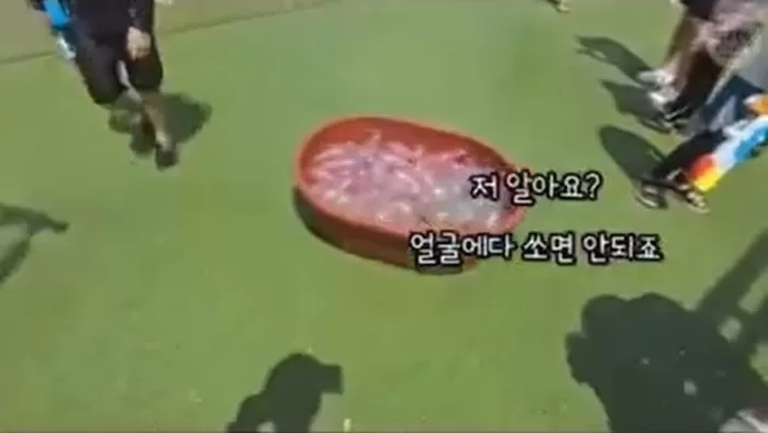 (SNS 갈무리)