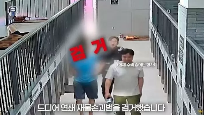 인사이트