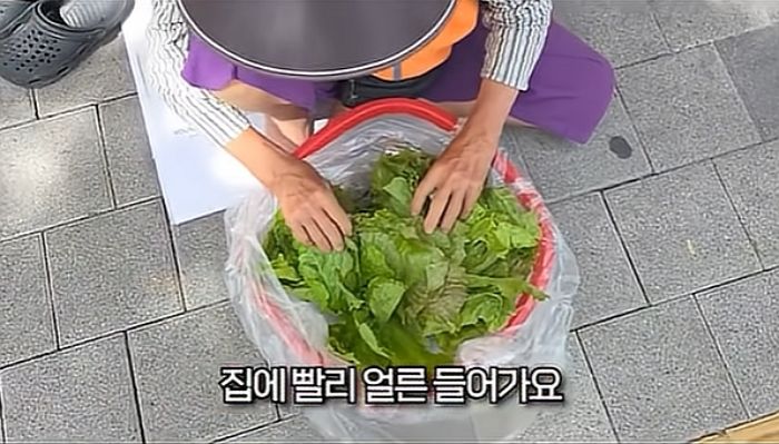 ‘폭염 주의보’에 거리 한복판서 맨발로 상추파는 할머니 ‘강제 퇴근’시킨 유튜버