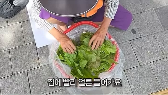 인사이트