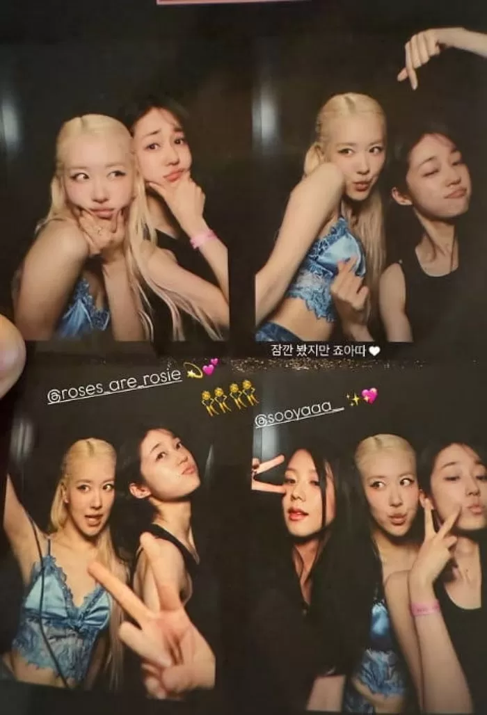 인사이트