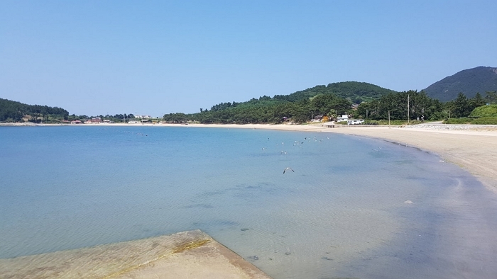 완도문화관광 홈페이지