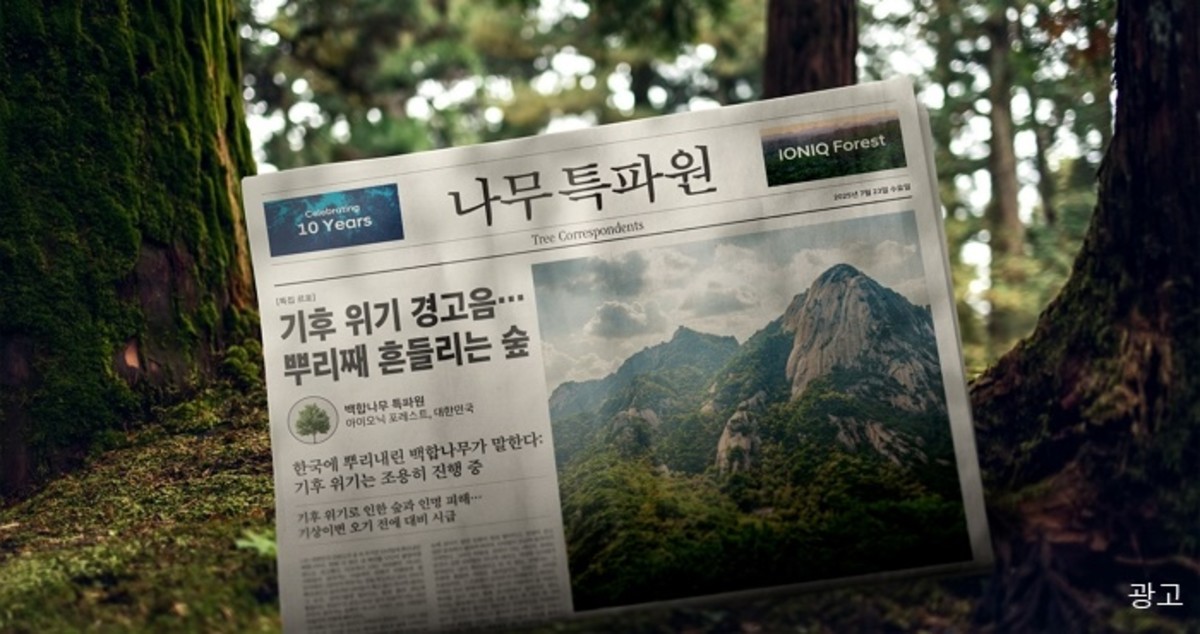 현대차가 만든 녹색 뉴스룸, ‘나무 특파원’이 숲과 지구의 이야기를 전합니다