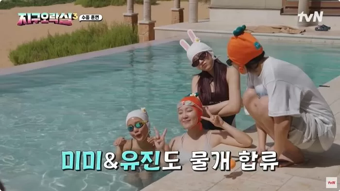 인사이트