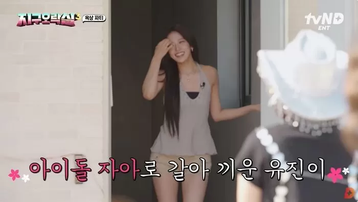 인사이트
