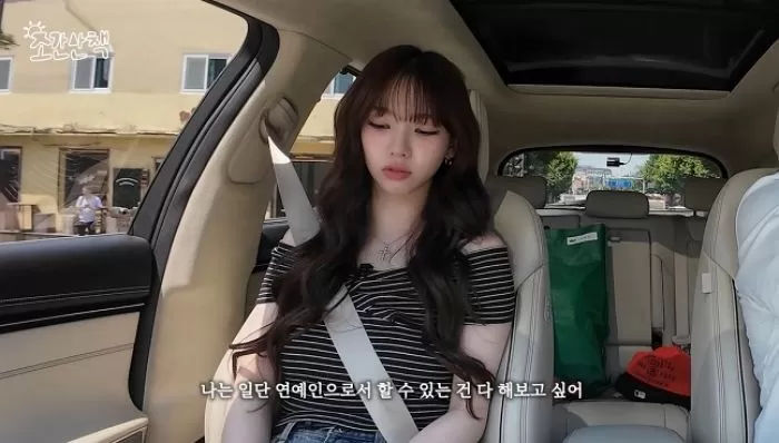 인사이트