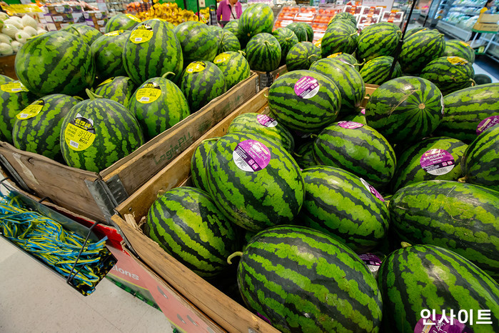 여름인데 수박도 비싸서 못 먹는다... 폭염에 채소·과일까지 줄줄이 ‘가격 인상’