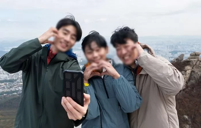 인사이트