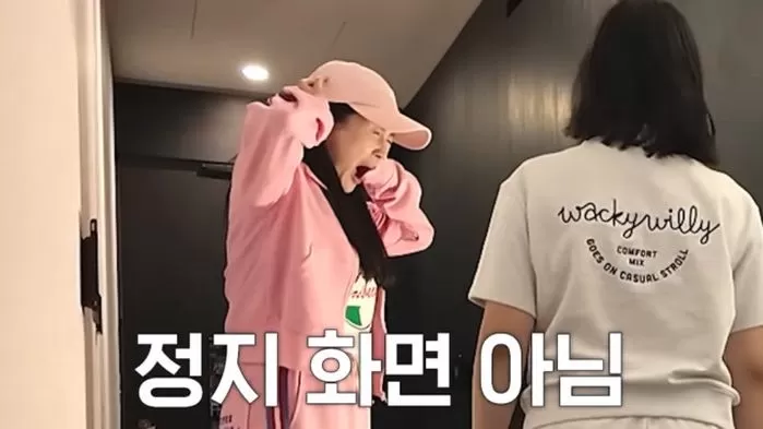 인사이트