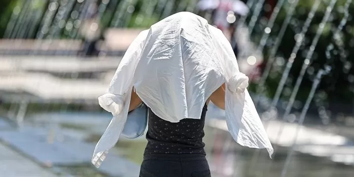 기사의 이해를 돕기 위한 자료 사진 / 뉴스1