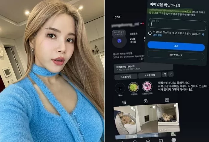 인사이트