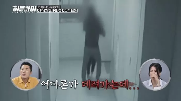 인사이트